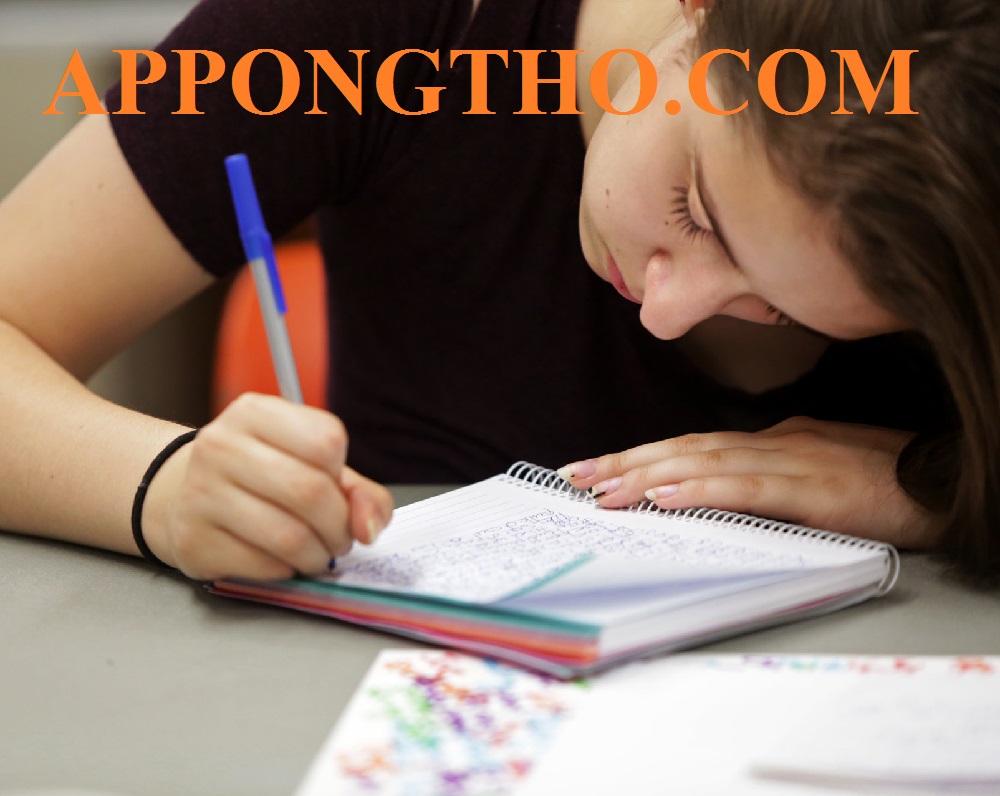 Cách viết tiểu luận hay nhất dành cho sinh viên