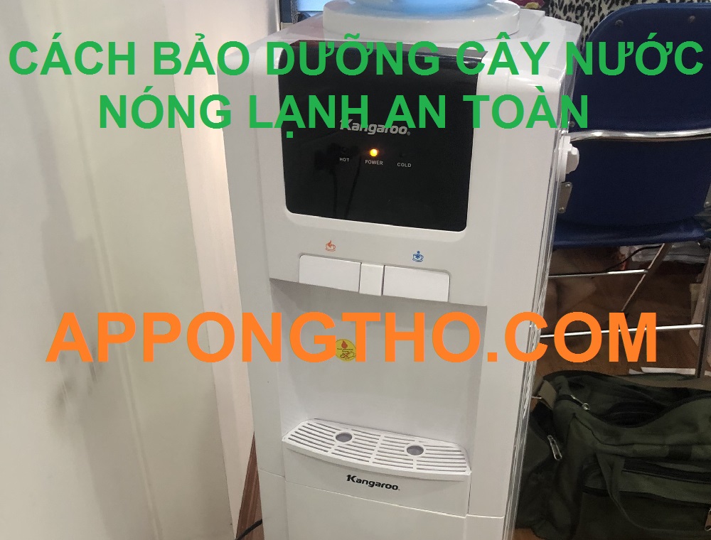 Bảo dưỡng cây nước nóng lạnh là gì?