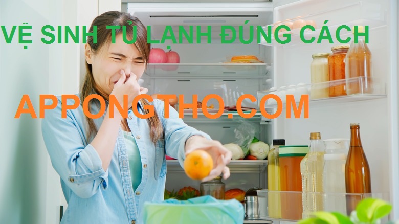 Dịch vụ vệ sinh tủ lạnh tại Hà Nội