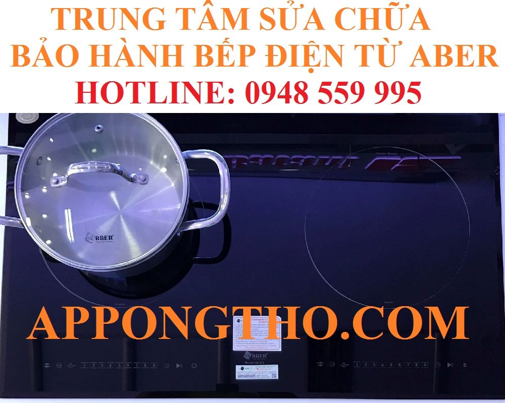 28. Sửa chữa bếp điện từ Arber tại Thành phố Huế