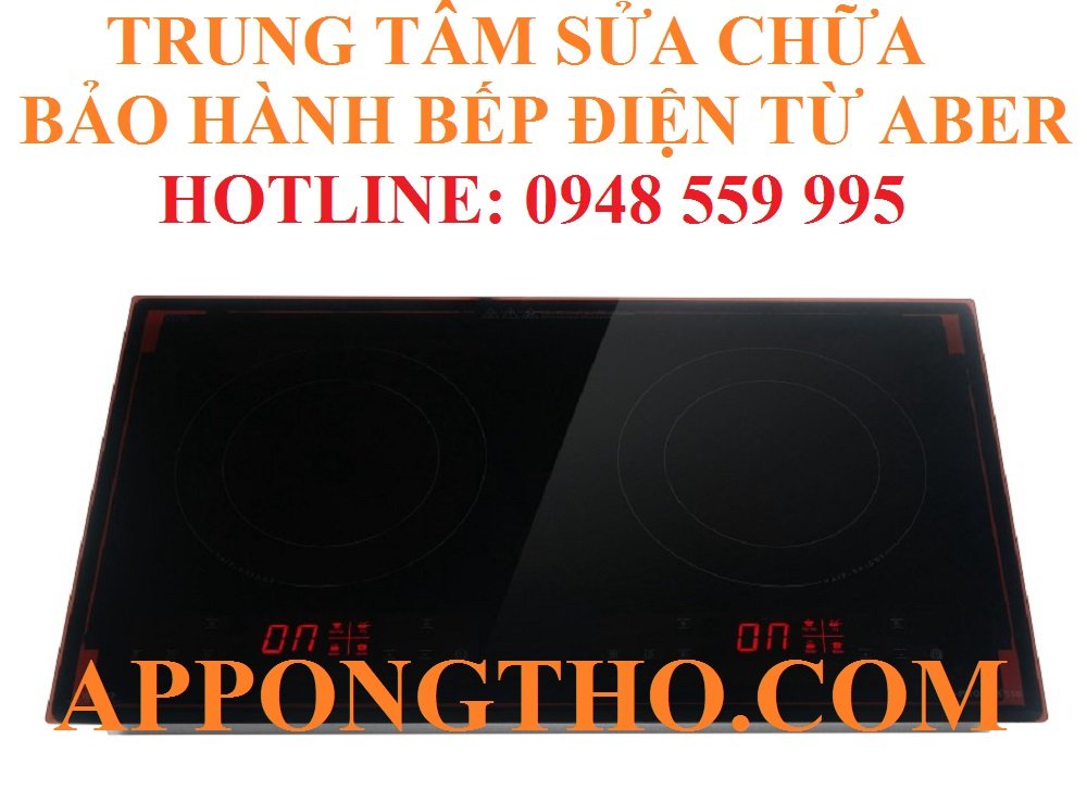 22. Sửa chữa bếp điện từ Arber tại Cao Bằng