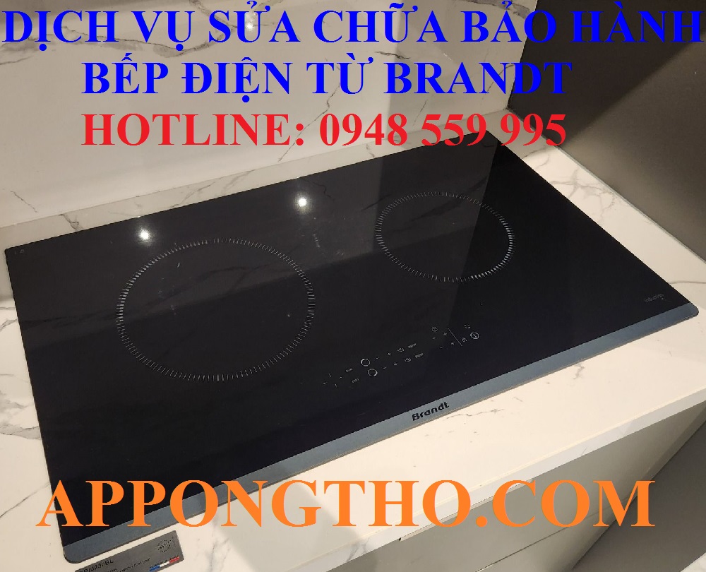 #40. Trung tâm sửa chữa bếp điện từ Brandt tại Bình Dương