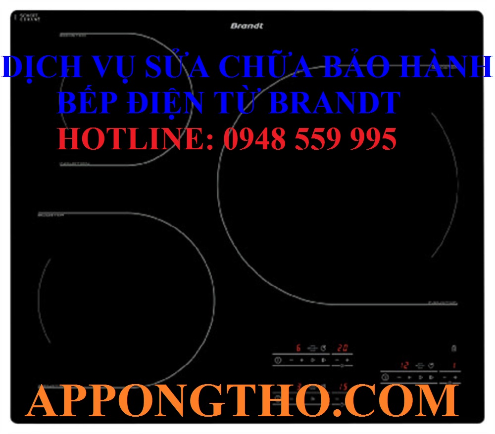 #35. Trung tâm bếp điện từ Brandt tại Đà Nẵng – Quảng Nam