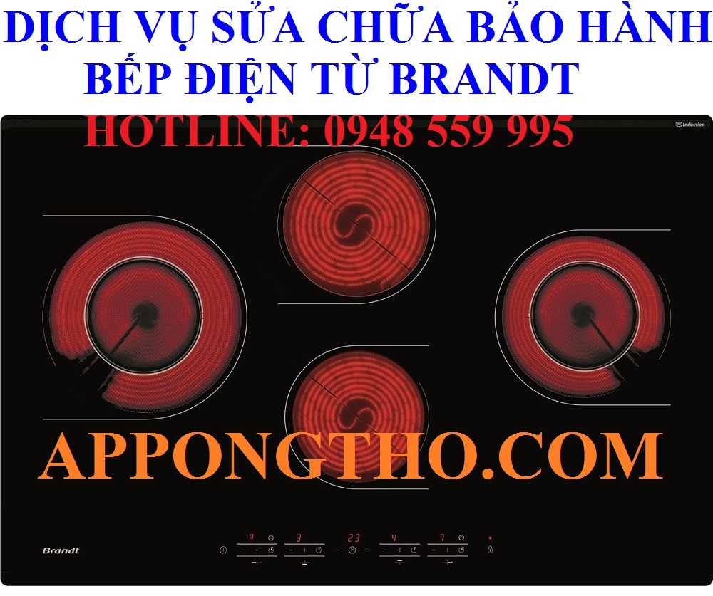 #30. Trung tâm sửa chữa bếp điện từ Brandt tại Nghệ An