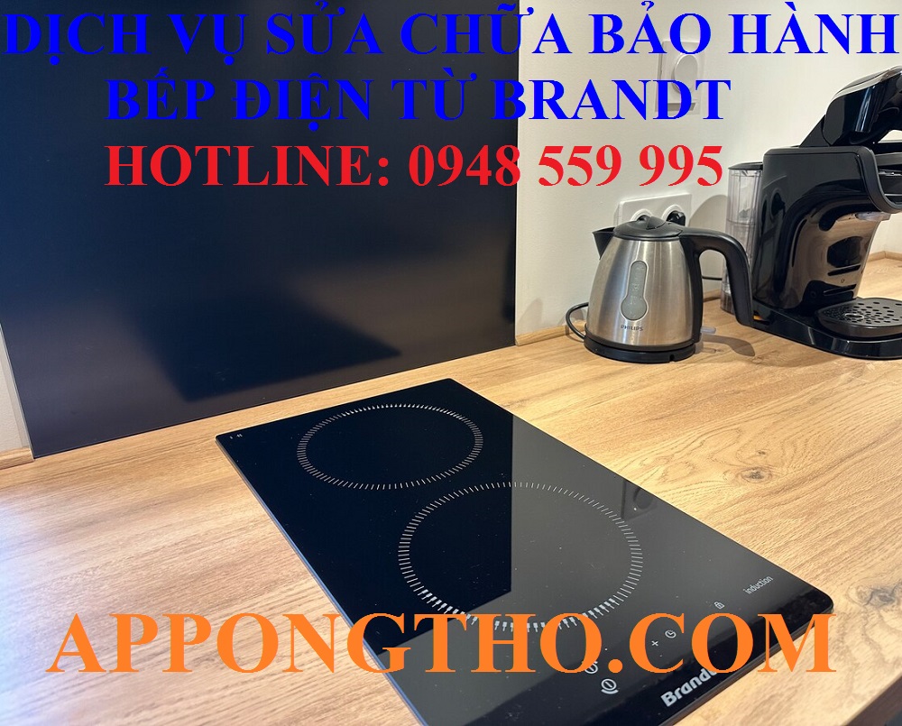 #25. Trung tâm sửa chữa & bảo hành bếp điện từ Brandt tại Lai Châu