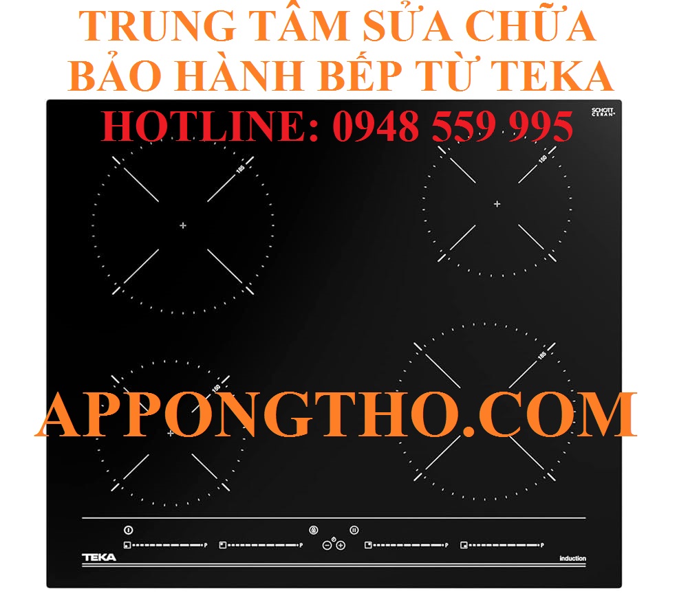 #30 Trung tâm sửa bếp điện từ Teka – Lào Cai & Yên Bái