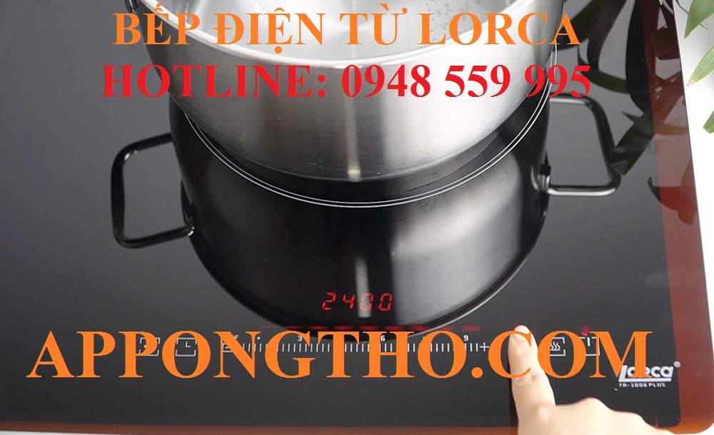 Trung tâm bảo hành bếp điện từ Loca tại Gia Lai – Bình Định