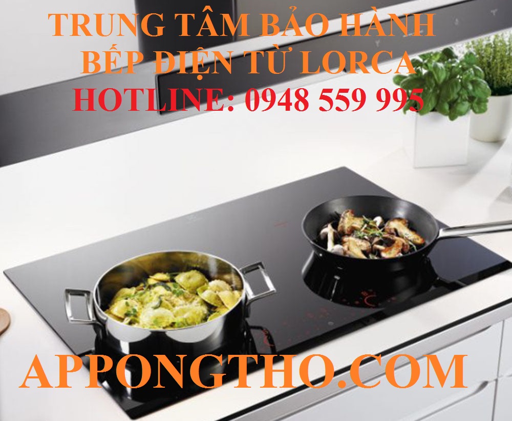 Trung tâm bảo hành bếp điện từ Loca tại Hà Tĩnh