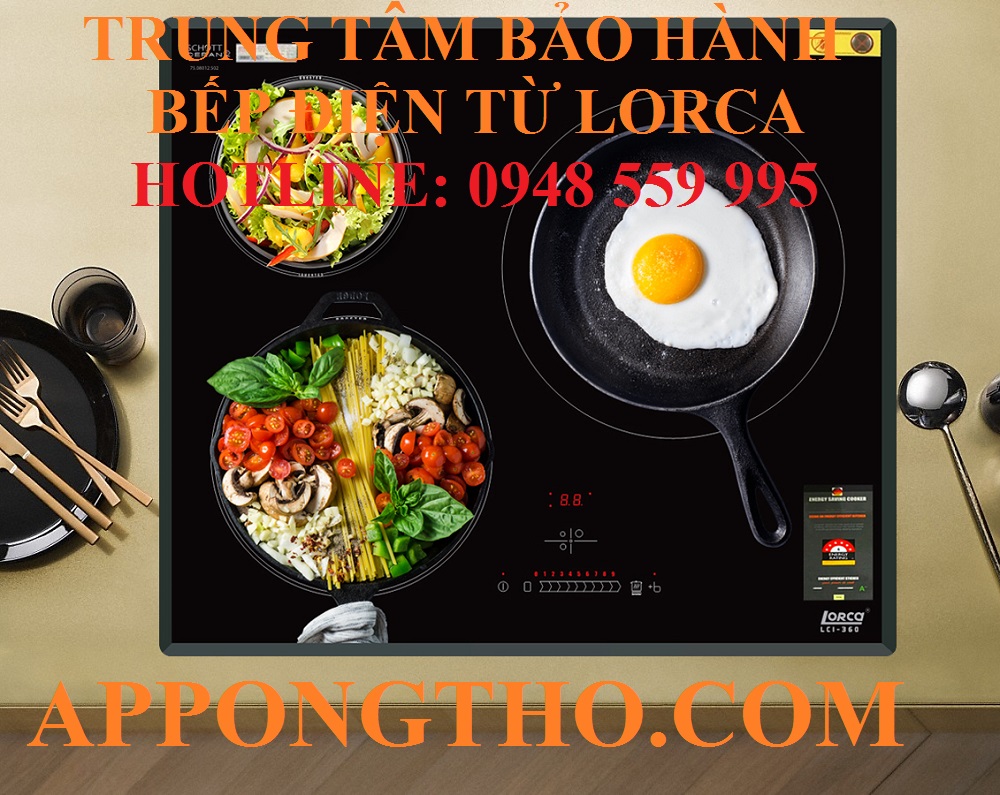 Trung tâm bảo hành bếp điện từ Loca tại Thanh Hóa