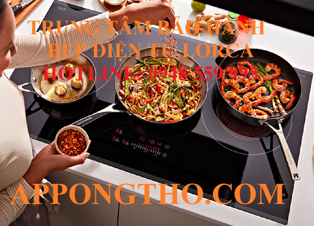 Trung tâm bảo hành bếp điện từ Loca tại Thái Nguyên – Bắc Kạn