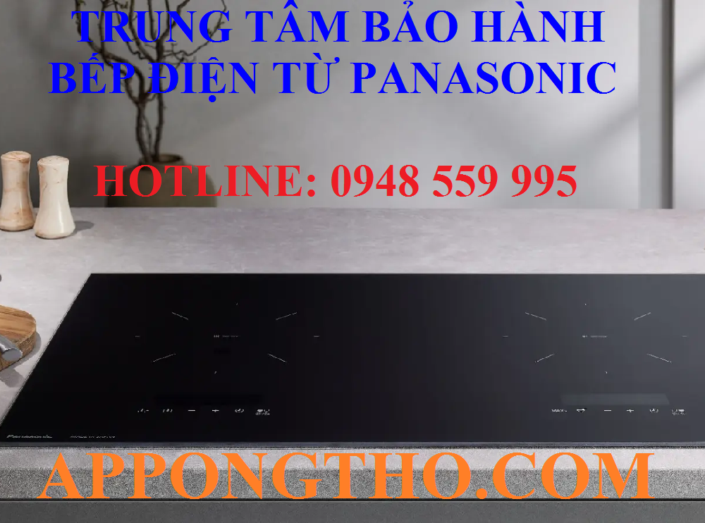 #3. Trung tâm bảo hành bếp điện từ Panasonic – Hải Phòng & Hải Dương