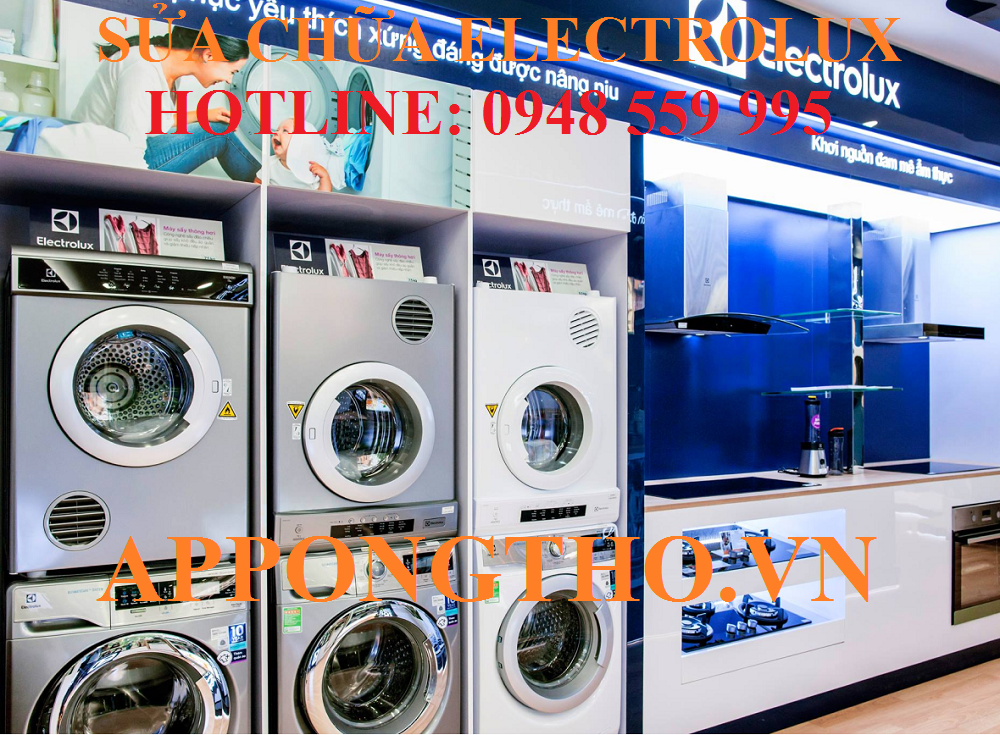 18. Trung Tâm Dịch Vụ Sau Bảo Hành Electrolux – Hà Tĩnh