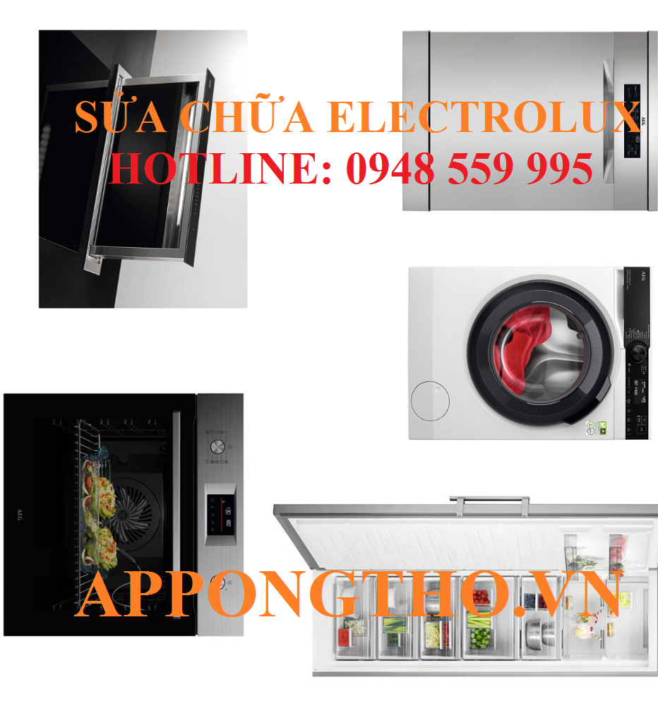 2. Trung Tâm Dịch Vụ Sau Bảo Hành Electrolux – TP. Hồ Chí Minh