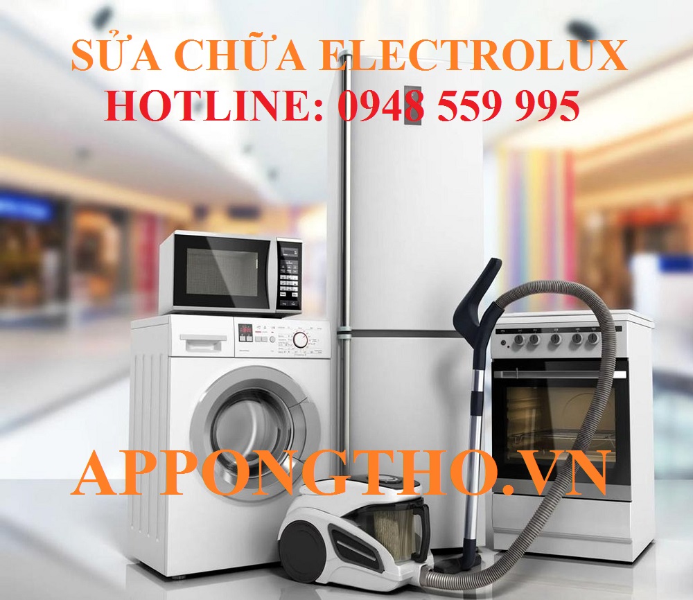 13. Trung Tâm Dịch Vụ Sau Bảo Hành Electrolux – Điện Biên