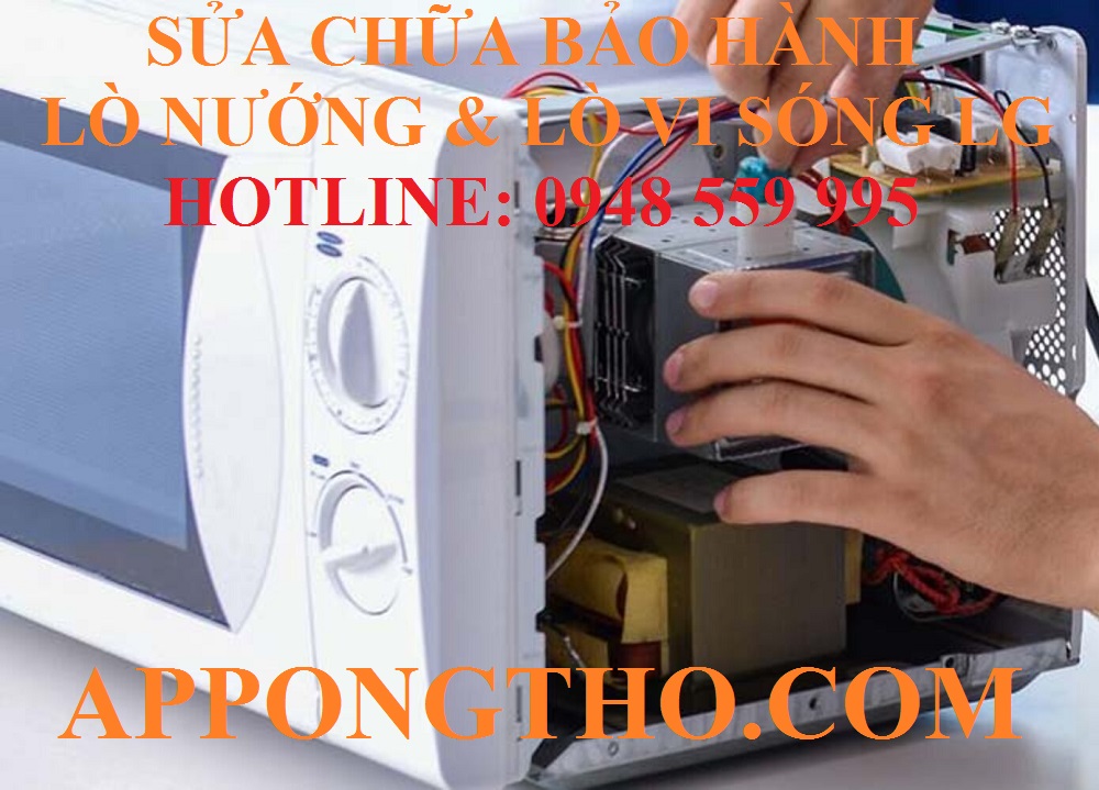 27. Trung tâm sửa Lò vi sóng & lò nướng hãng LG tại Thanh Hóa