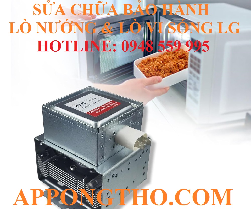 15. Sửa chữa Lò vi sóng & lò nướng hãng LG tại Hải Phòng – Hải Dương