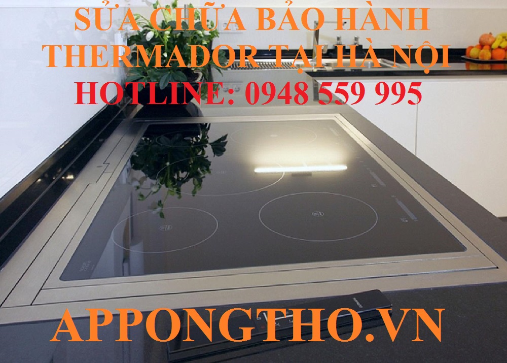7. Sửa chữa sản phẩm Thermador tại Hai Bà Trưng - Hà Nội