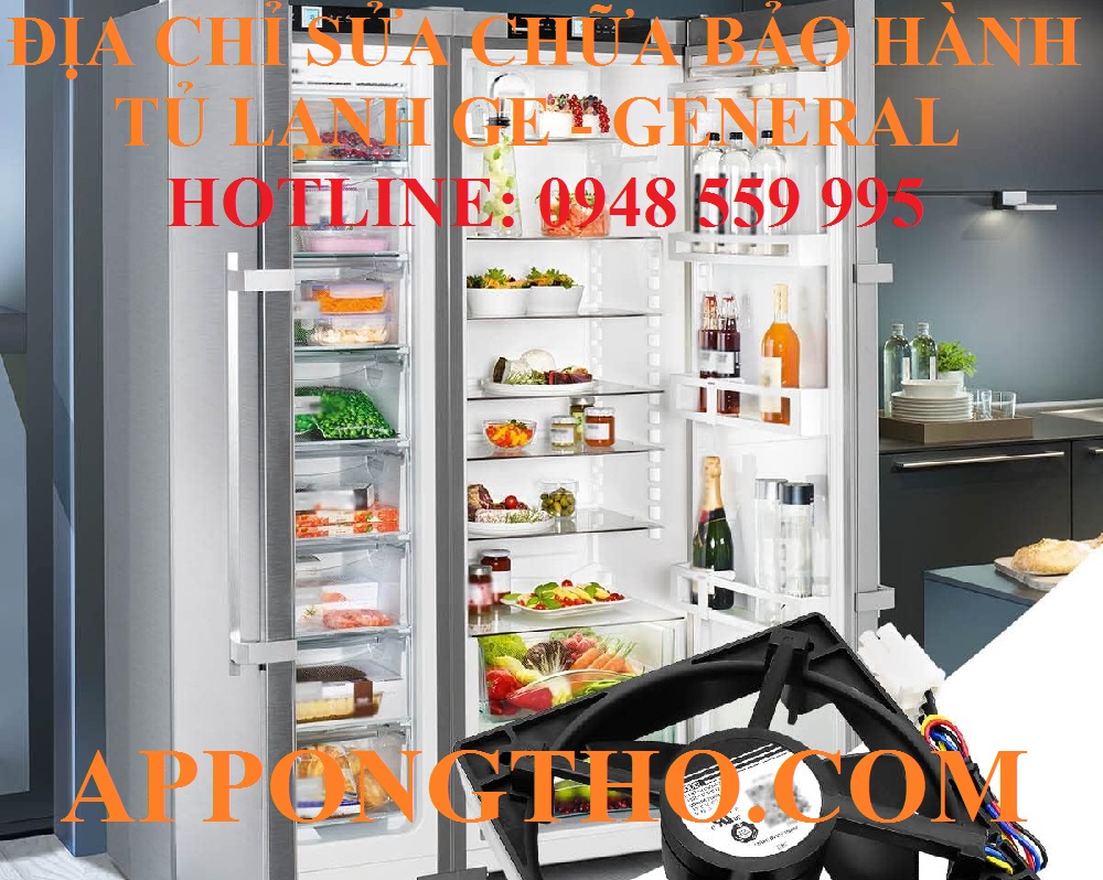 13 – Dửa chữa bảo hành tủ lạnh General tại Tân Hưng – TP Hồ Chí Minh