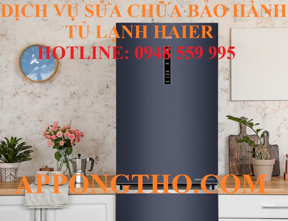 #38. Đồng Nai – Bình Phước – Trung tâm bảo hành Haier Đông Nam Bộ