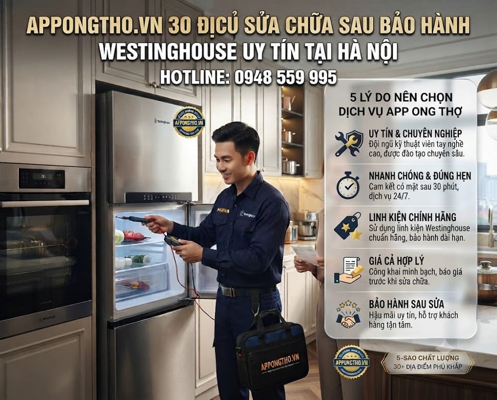 22. Trung tâm sửa chữa Westinghouse Phúc Thọ - Hà Nội