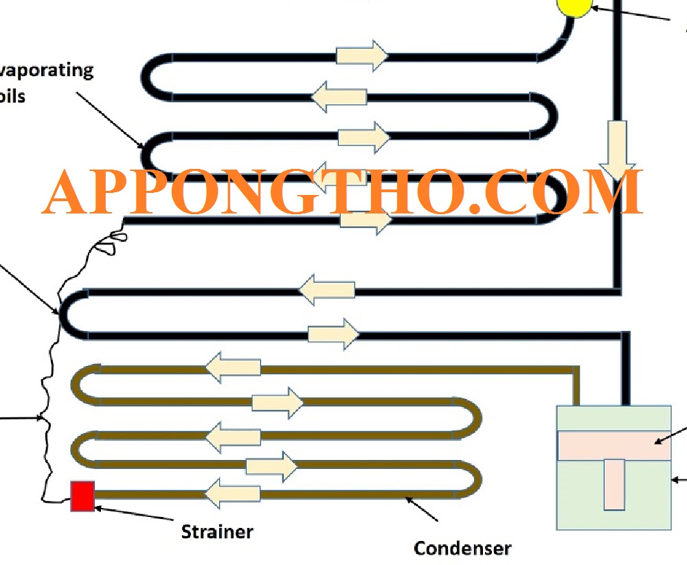 Quy trình cân cáp tủ lạnh tủ đông