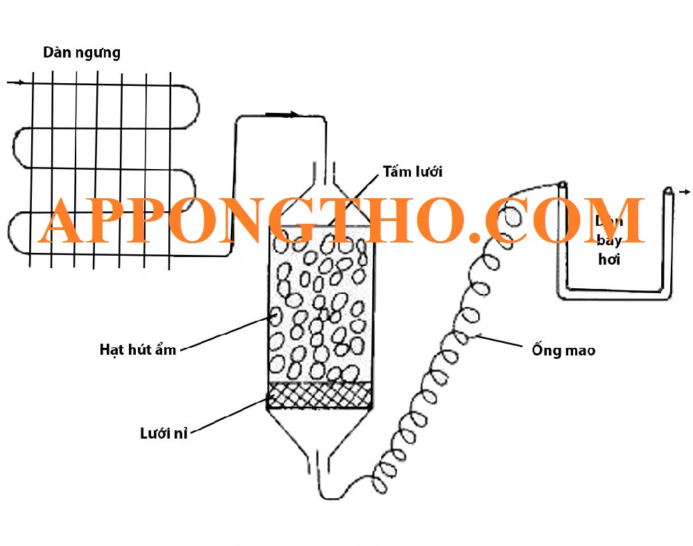 Cáp tủ lạnh tủ đông là gì?