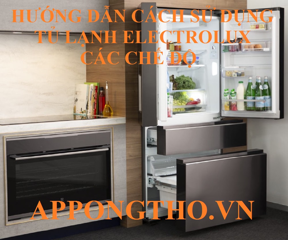 Không cho thực phẩm có nhiệt độ cao vào tủ lạnh Electrolux