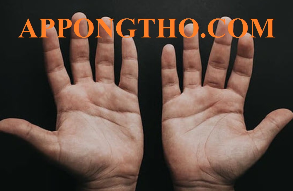 9. Vân Mắt Phượng ở ngón tay cái có ý nghĩa gì?