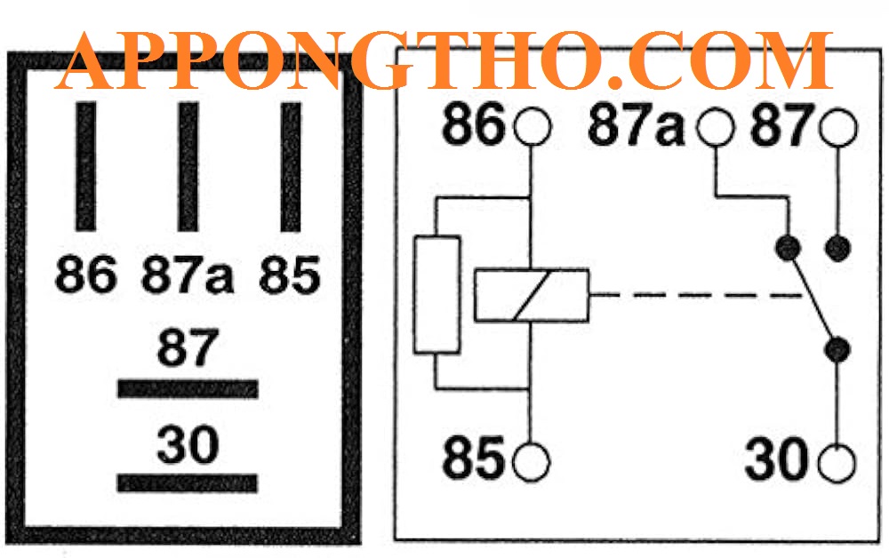 Cách Xác Định Chân Relay 5 Chân