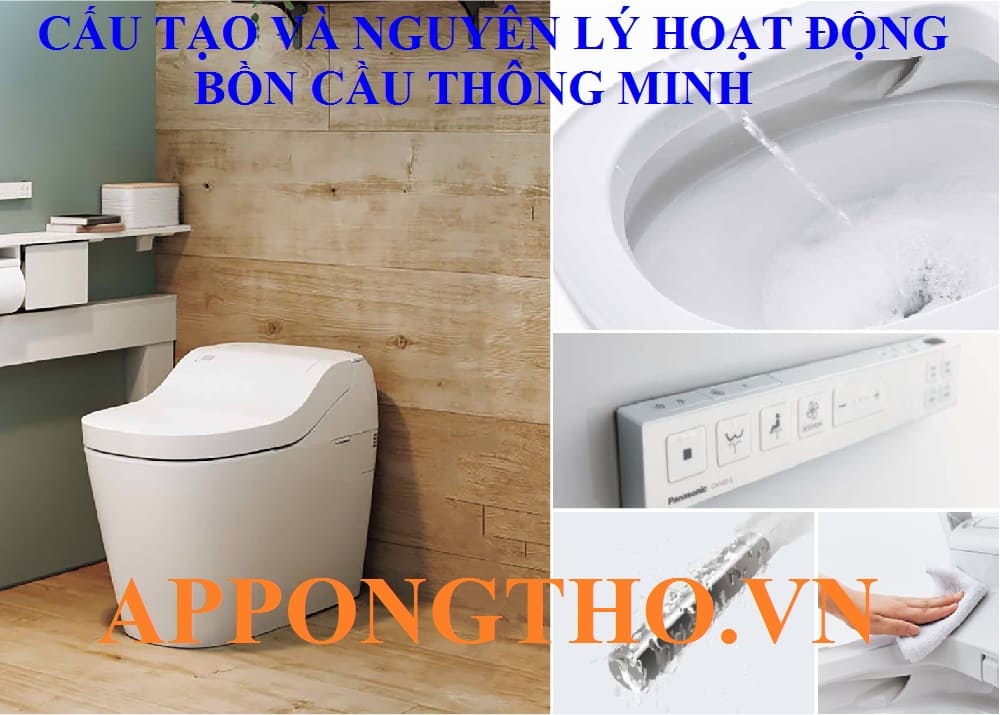 3. Hệ thống đường thoát chất thải (trapway)