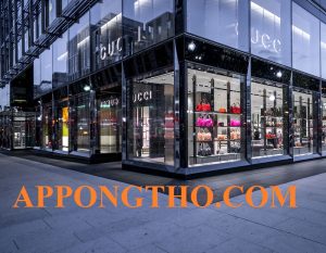 Tốp 40 Cửa Hàng Gucci Chính Hãng Toàn Quốc Tốt Nhất