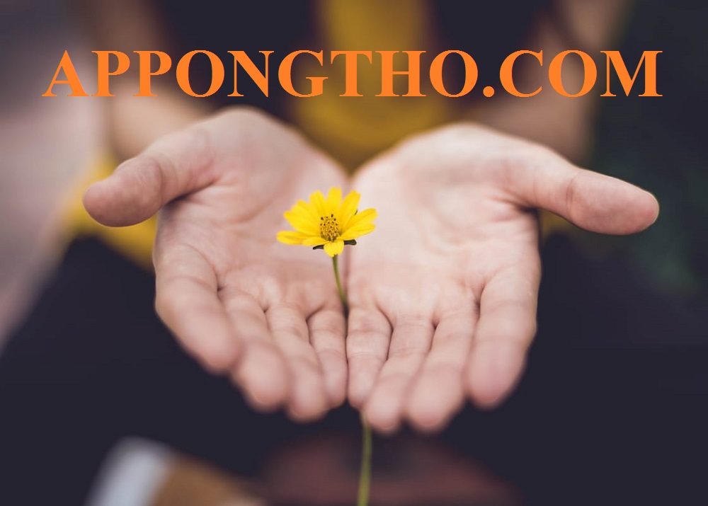 Vì sao cuộc sống không bằng phẳng lại là điều cần thiết?