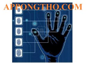 Đặc Điểm Người Có 6, 7, 8, 9, 10 Hoa Tay, Tài năng & Vận Mệnh