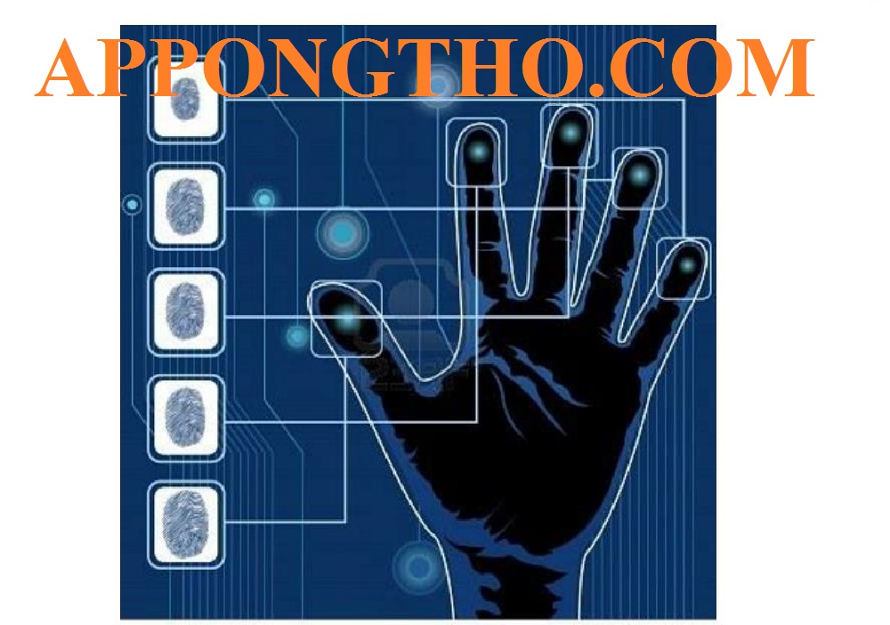 Đặc Điểm Người Có 6, 7, 8, 9, 10 Hoa Tay, Tài năng & Vận Mệnh