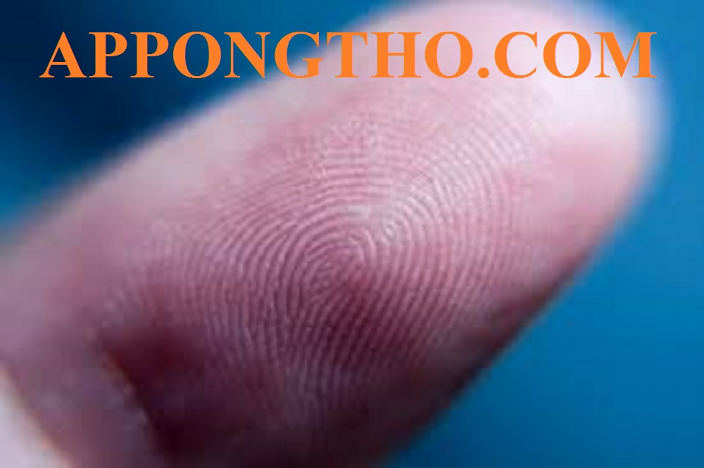 🔹 Người có 5 hoa tay