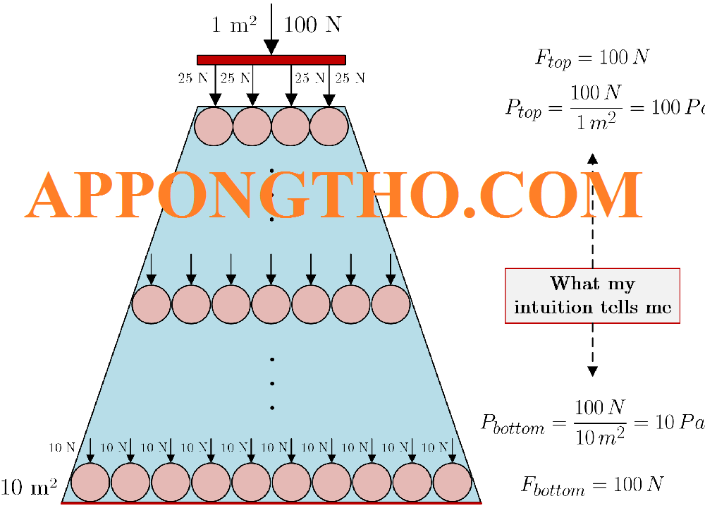 Định Luật Pascal Là gì? Nguyên Lý, Ứng Dụng & Hỏi Đáp