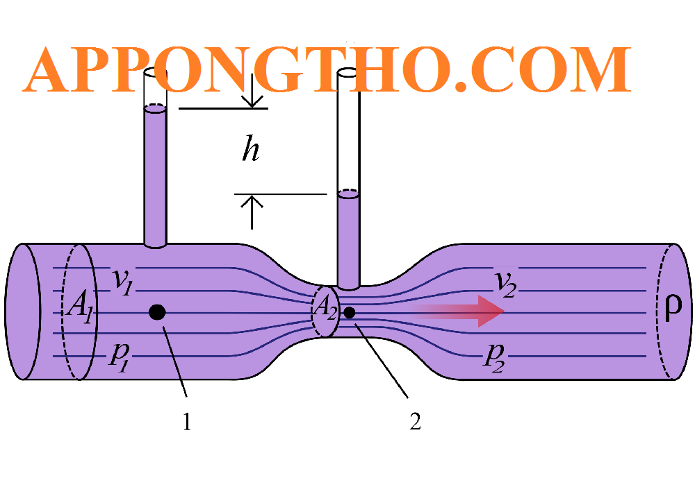 10 Ví dụ mô phỏng định luật Pascal