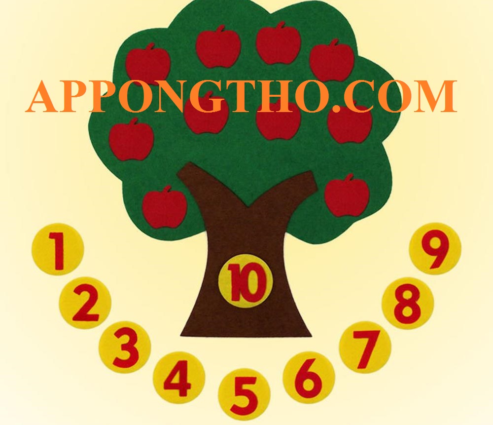 16. Bộ chữ cái và dấu thanh rời
