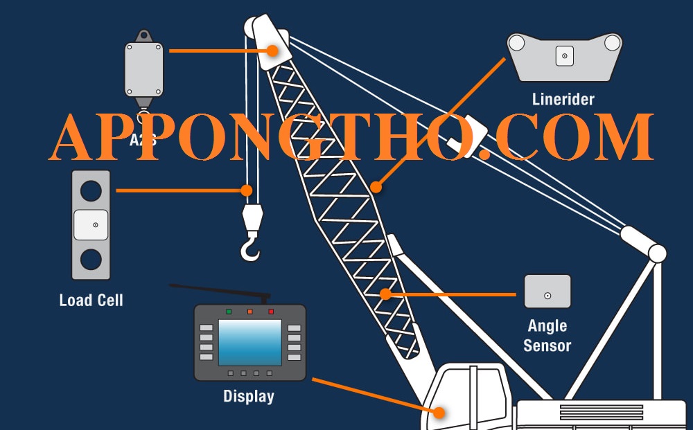 Sơ Đồ Tải Cần Cẩu Là Gì? Cách Đọc Sơ Đồ Tải Của Cẩu Nhanh