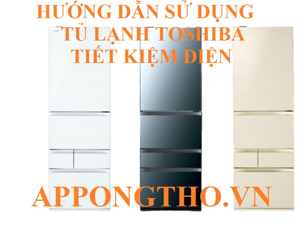 Cách Dùng Tủ Lạnh Toshiba Ít Hao Điện Nhất Dành Cho Bạn 