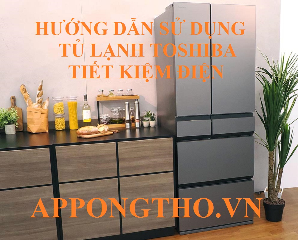 Cách dùng tủ lạnh Toshiba ít hao điện nhất bao gồm những gì?