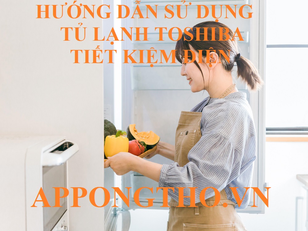 Tủ lạnh Toshiba có gì vượt trội so với những phiên bản khác?