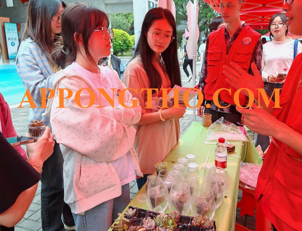 10. Gian hàng Street Food Mỹ