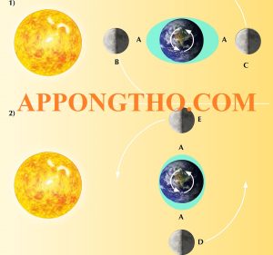 Hiện Tượng Thủy Triều Vào Ngày Không Trăng Với 5 Đặc Điểm