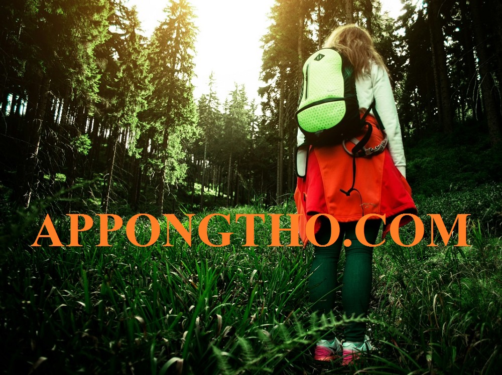 12. Điểm yếu nào cần cải thiện ngay?