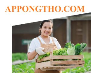 30 Lĩnh Vực Nên Kinh Doanh Ở Nông Thôn Vốn Dưới 100 Triệu