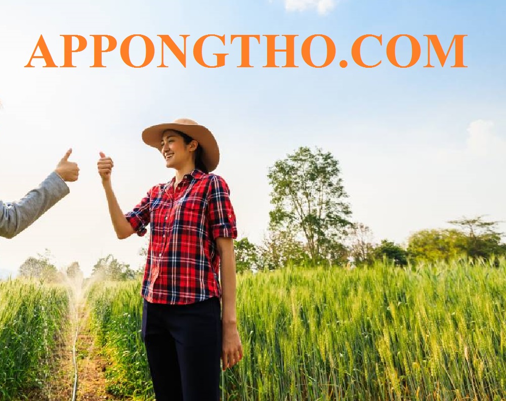 15. Mở tiệm photocopy, in ấn, đánh máy