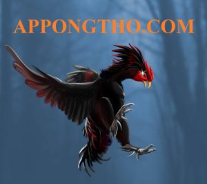 Nhận Diện 35 Loài Gà Thần Kê Nổi Tiếng Hiếm Gặp Nhất