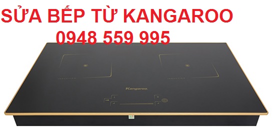 Các lỗi bếp từ Kangaroo nhấp nháy màu đèn