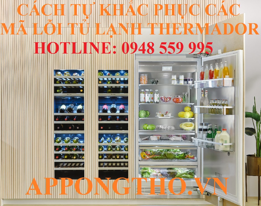 Hướng dẫn khắc phục từng lỗi trên tủ lạnh Thermador chuẩn an toàn